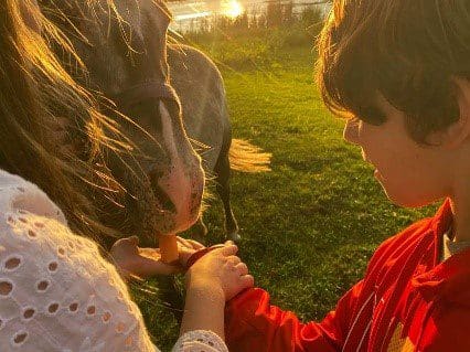 Child feeding horse at sunset.
