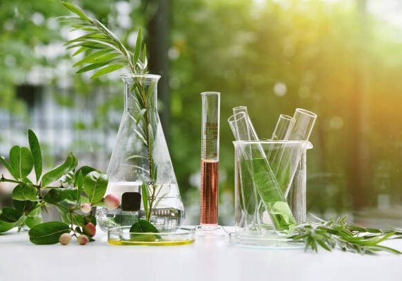 Laboratory glassware with plants and leaves.